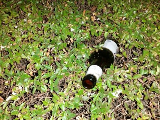 Its too, much acholic beverages drinking on the premises. 3040, Parklane Village Apartment, Dallas Texas, 75220. Where is the owners.