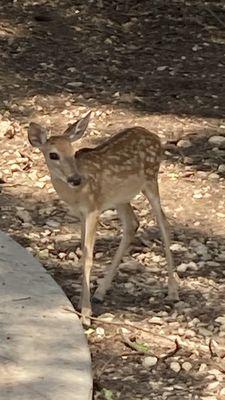 Typical spectator, wowed by our golfing prowress!