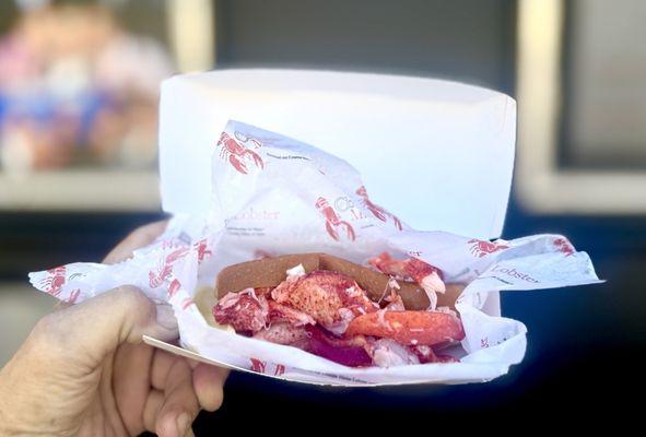 This is the main role, which is about 6 inches long with cold lobster and Mayo in a buttered bun