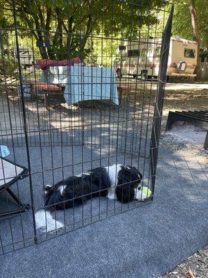 Twin Rivers Vacation Park