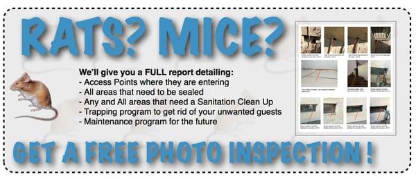 Professional Pest Management