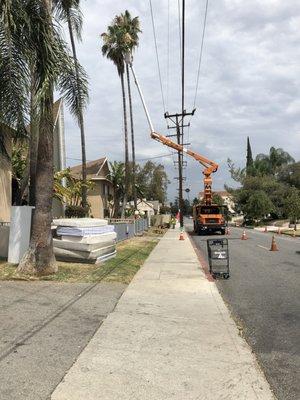 New management team cleaning up the Jade Garden Apartements.
