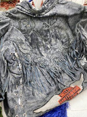 Mold and mildew all over my Harley Davison leather jacket! Ruined!!