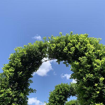 Kent Greenhouse & Gardens