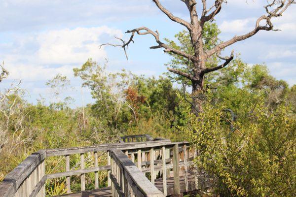 Briggs Nature Center Boardwalk