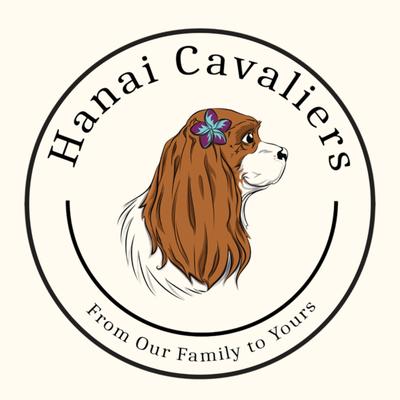 Hanai Cavaliers