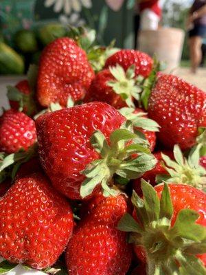 Landry Poche Strawberry Farm Inc
