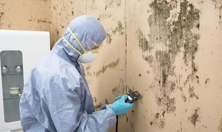 Environmental Testing Services