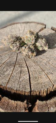 Beautiful nugs are always available on the river!