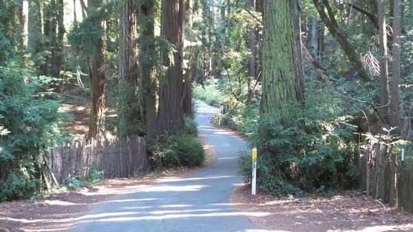 King Ridge Adventures