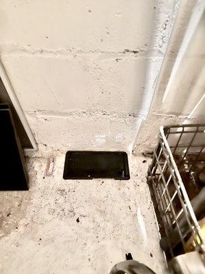 Rudy's Exterminating