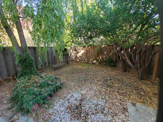 Gonzalez Gardening Bay Area