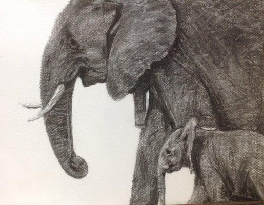 Kim Roth - Fine Art Studio