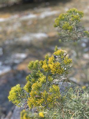 Clear Creek Trail & Water Park