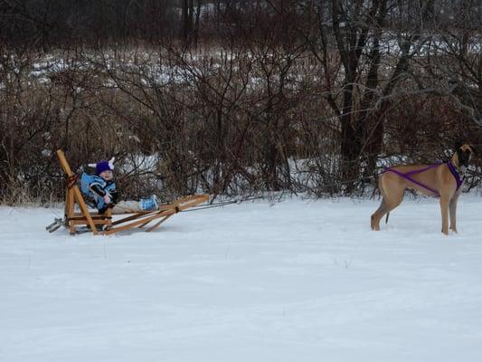 Snowy Paws Pet Sitting