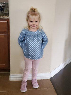 Dan Canzone - Goosehead Insurance Agent