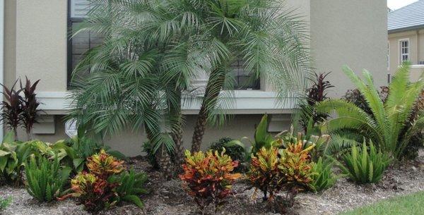 VBSI Accounting and Tax Services