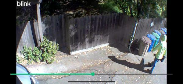 Employee of Leyva Landscape & Gardening using a gas powered leaf blower (no cord).