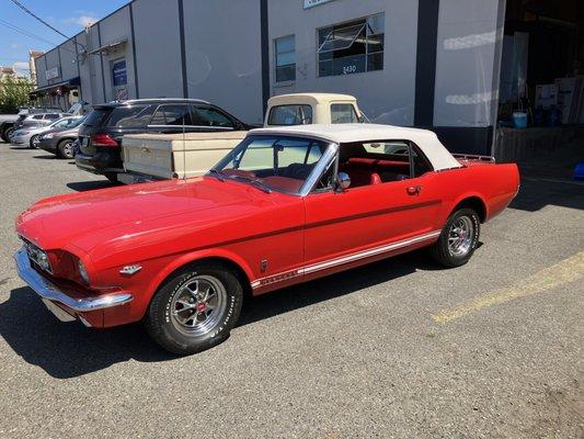 65' GT Mustang Convertible