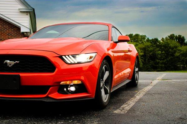 Forgotten Zodiac Entertainment