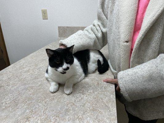 South Shreveport Animal Hospital