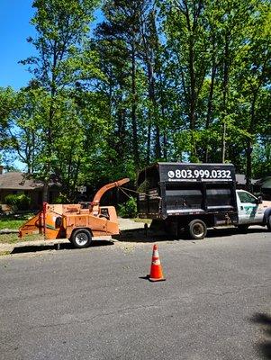 BGM Tree Services LLC