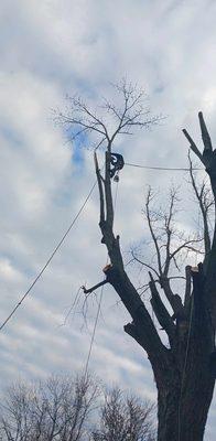 Precision Property Pros