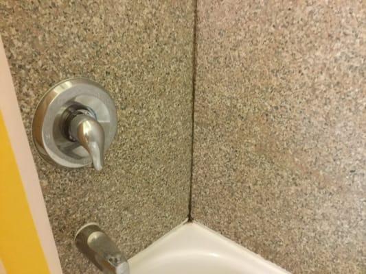 Mold in shower.