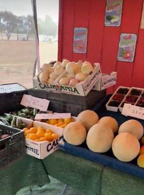 Cantaloupe was refreshing!