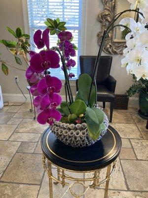 The Patient Care Representative displays her floral talents throughout the practice, 03.30.2023.