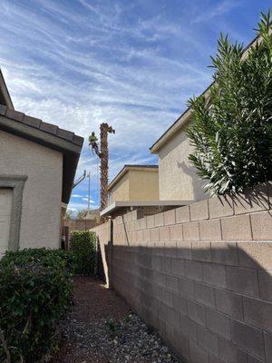 Natures Personal Landscaping