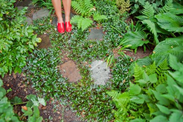 Maintaining our beautiful greenery