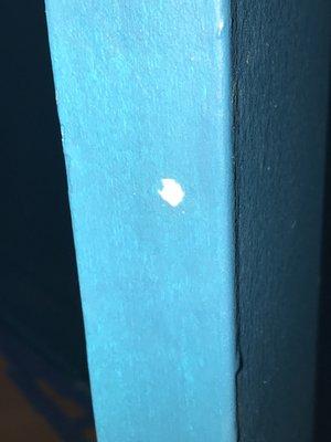 Properly prepped and primed door with 4 coats of paint. Dried for 2 days before installing and paint began to peel immediately.