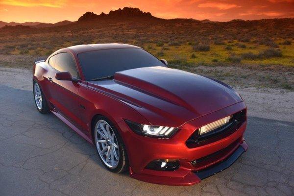 Show Ready Auto Detail