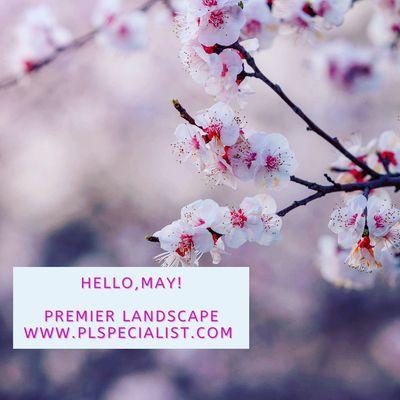 Premier Landscape Specialist