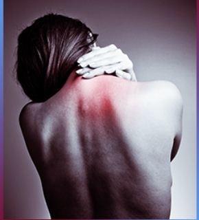 Levy Chiropractic Family Wellness Center