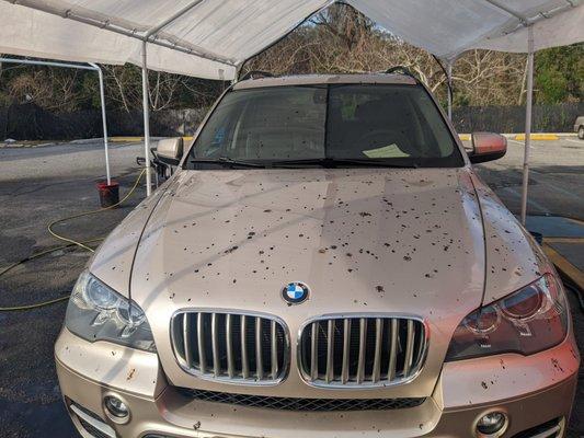 Pit Speed Auto Detailing