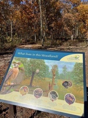 explanatory sign in front of the woods