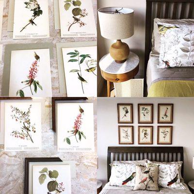Photos of vintage bird prints I had mounted and framed for the guest room at a unit at the Insignia, Seattle, Washington.