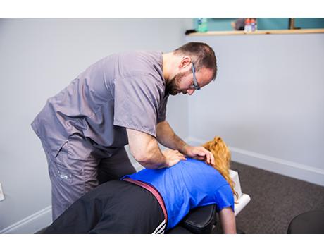 Centered Spine & Joint