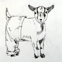 Goat Britches Logo