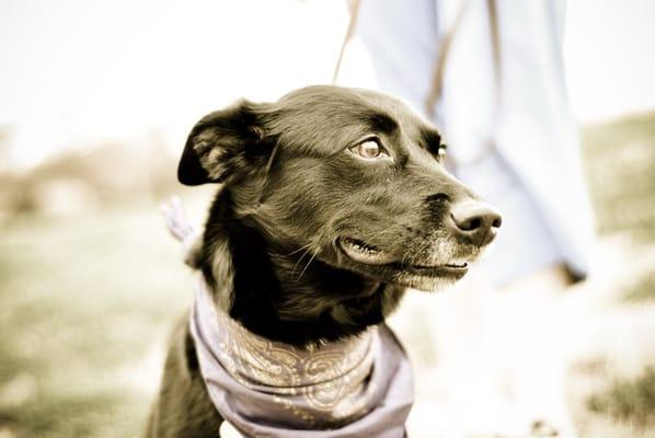 Brit Kroner Photography