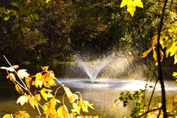 Heart Space Healing is located in a beautiful serene setting in Roswell.