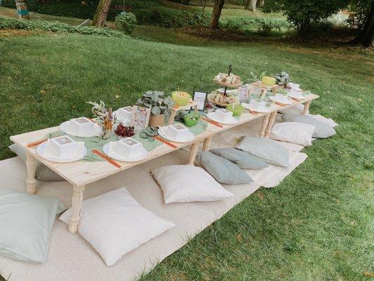 Summer Bliss Picnics