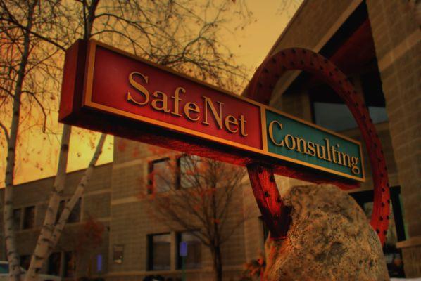 Safenet Consulting