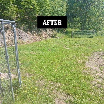 gentle green lawncare