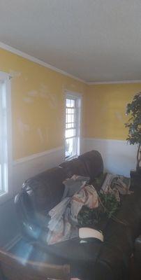 Rollins Painting And Cleaning