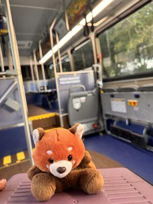 Clean, comfortable, well air-conditioned buses take you just about anywhere you want to go!