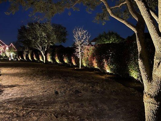 Premium Irrigation & Drainage