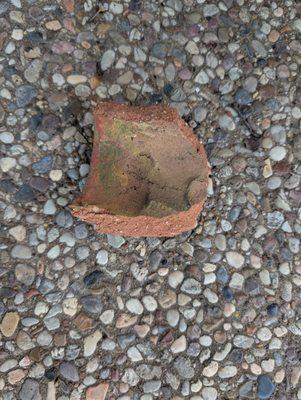 Finley Termite & Pest Control